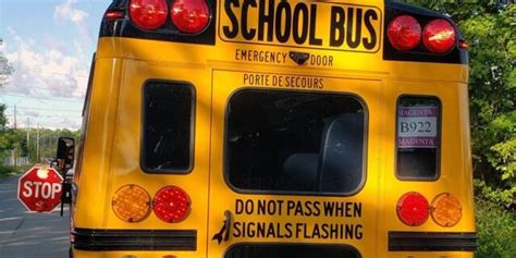 school bus violation ny